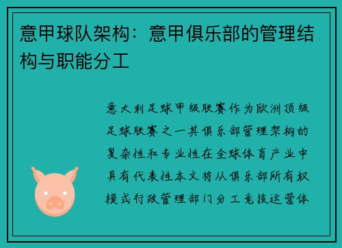 意甲球队架构：意甲俱乐部的管理结构与职能分工